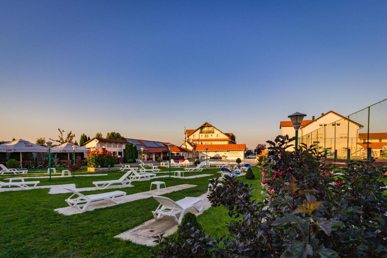 Hotel Europa Kokeltal Albeşti Buitenkant foto